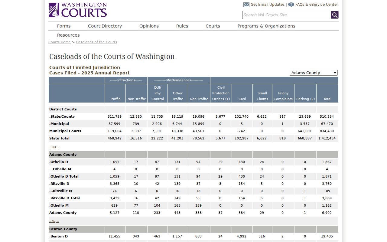 Washington District and Municipal Court 2025 filing report for traffic and lower-court cases