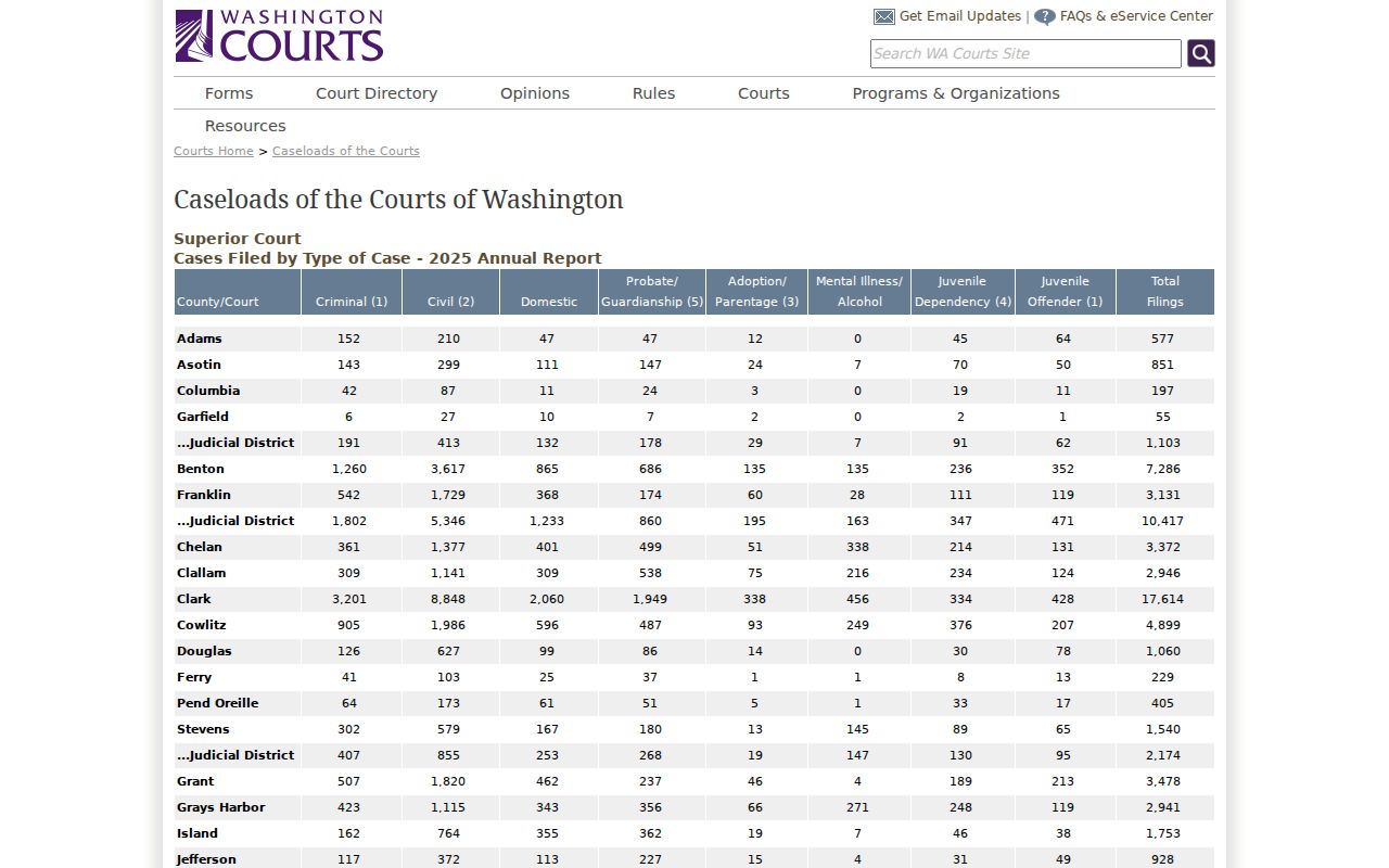 Washington Superior Court 2025 filing report by county and case type
